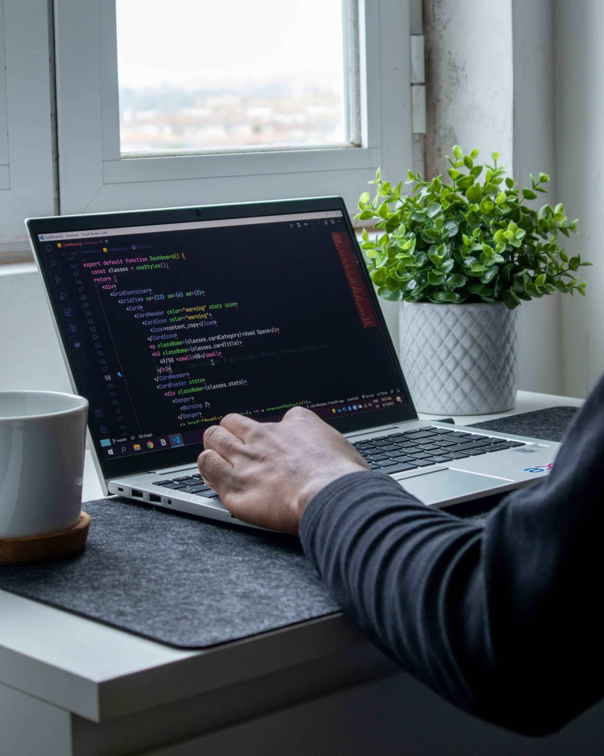 Website Development Services | Team Bison