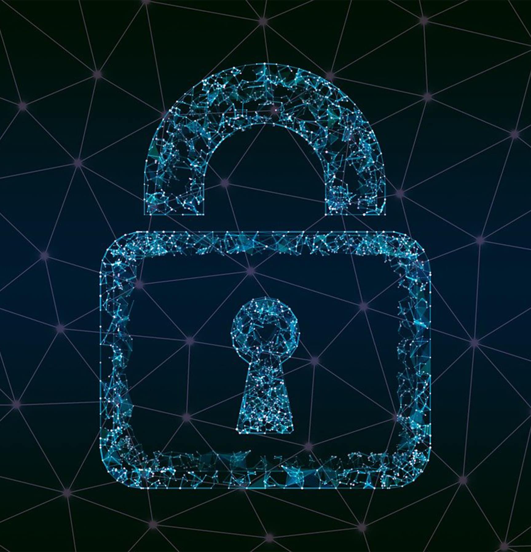 Web Application Security Services | Services | Team Bison
